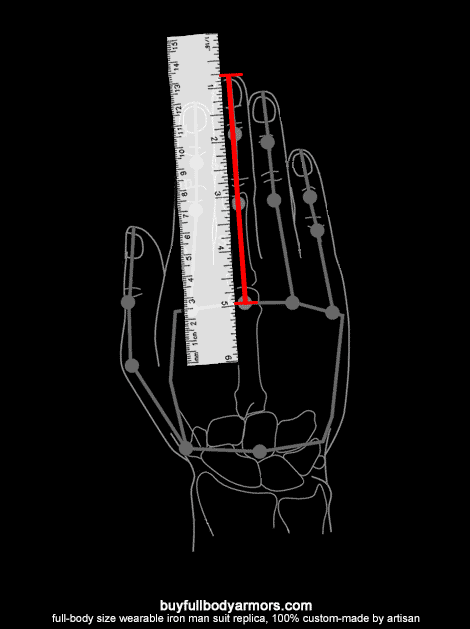 Middle Finger Length